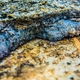 Image for article titled 24 Captivating Photos of Concrete